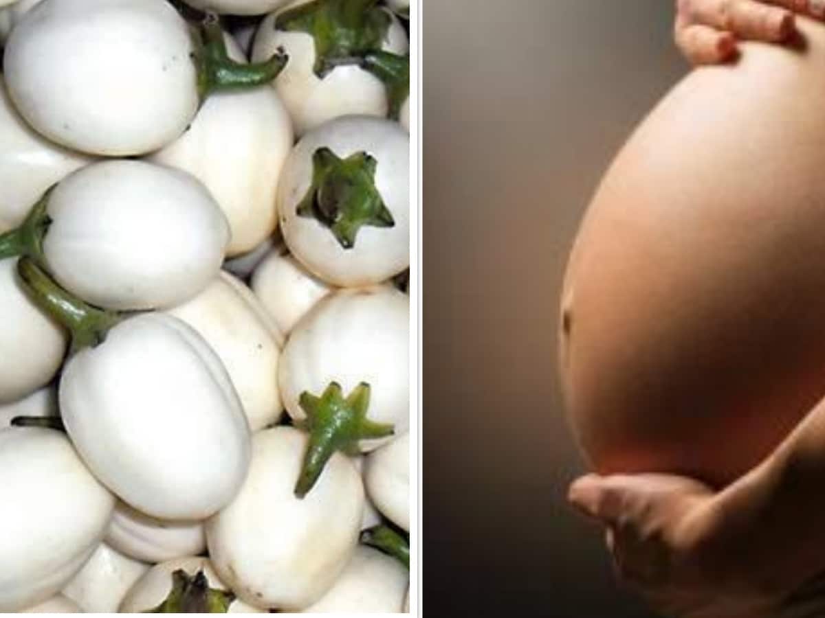 Why garden egg leaf good for pregnant women