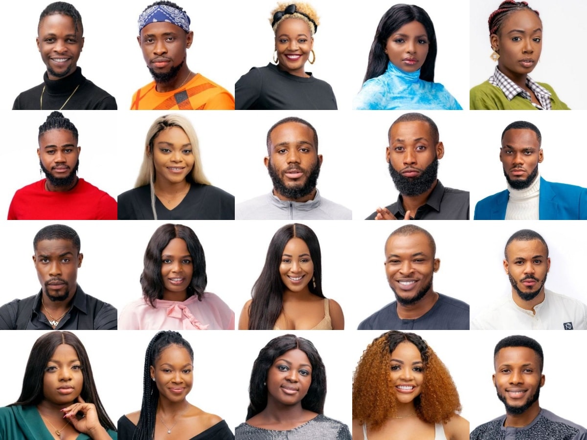 The New BBNaija 2020 Housemates and their Biography