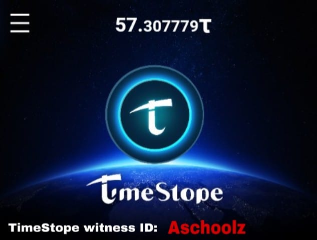 TimeStope witness ID