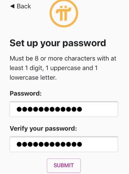 My Pi Network Account password
