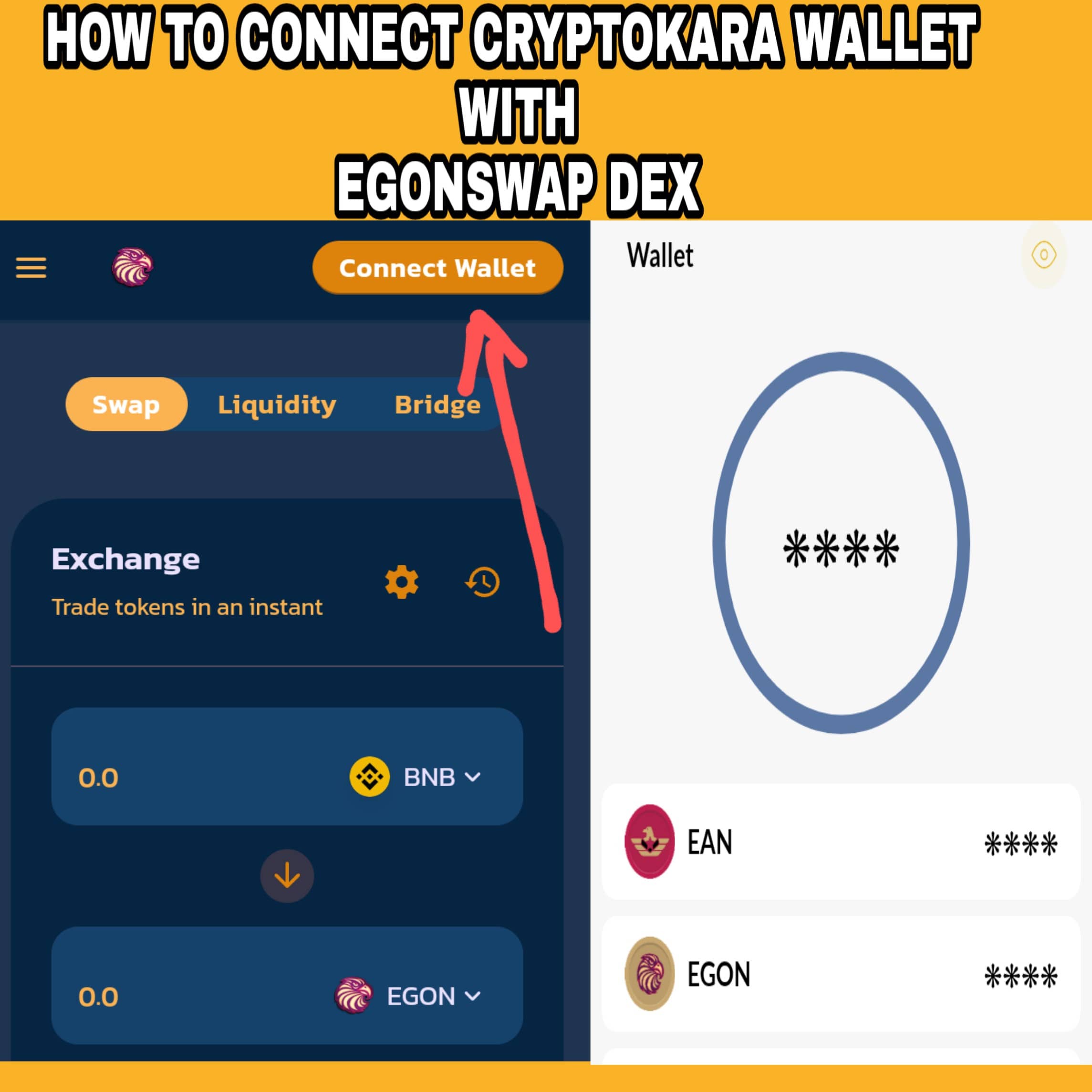 How to Connect Cryptokara Wallet with EgonSwap Dex